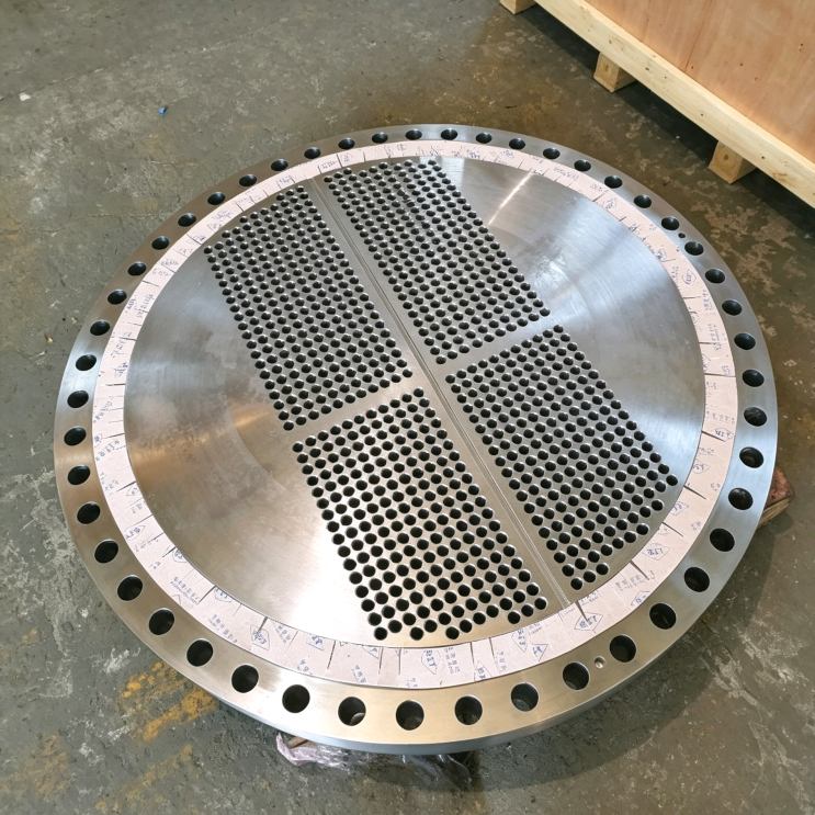 Forged tube plates Forged tube plates